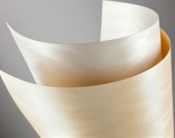 Karton ozdobny Diuna A4 230g (20 ark)