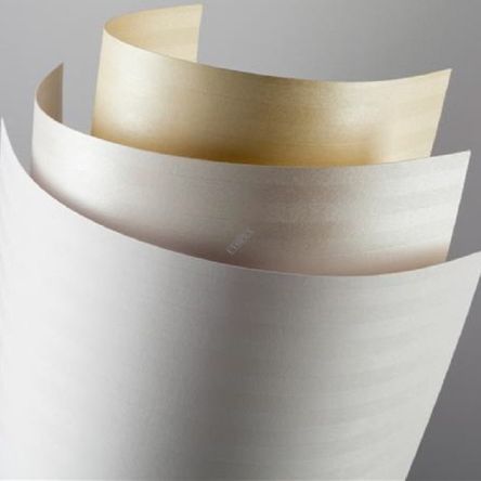 Karton ozdobny Bali A4 220g (20 ark)