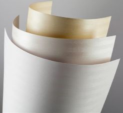 Karton ozdobny Bali A4 220g (20 ark)