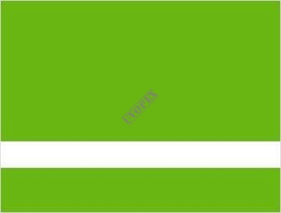Laminat grawerski zielony jasny/biały 1,6mm LZ-905-016