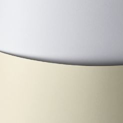 Karton wizytówkowy "gładki" A4 250g