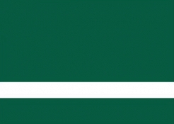 Laminat grawerski wewnętrzny zielony/biały 0,5mm LZ-905-005
