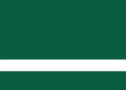 Laminat grawerski wewnętrzny zielony/biały 0,5mm LZ-905-005