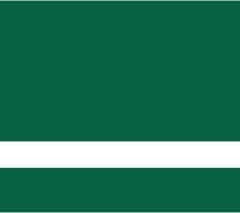 Laminat grawerski wewnętrzny zielony ciemny/biały 0,8 LZ-914-008