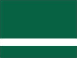 Laminat grawerski wewnętrzny zielony ciemny/biały 0,8 LZ-914-008