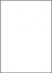 Etykiety komputerowe UNI A4 100 ark. 210 x 297 mm