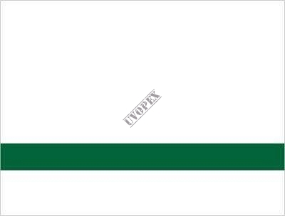 Laminat grawerski biały/zielony jasny 1,6mm LZ-919-016