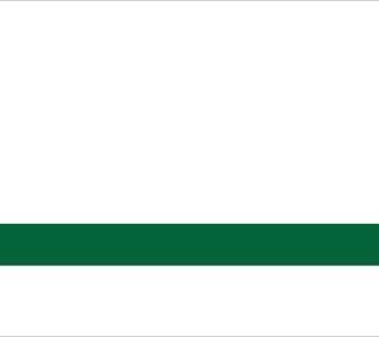 Laminat grawerski biały/zielony jasny 1,6mm LZ-919-016