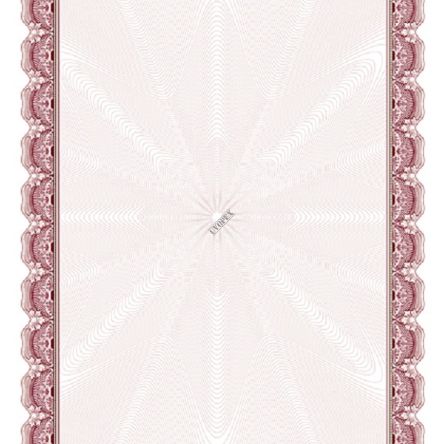 Dyplom Arnika B A4