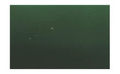 Aluminium Alugraw zielony mat 500x500 mm